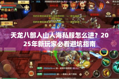 天龙八部人山人海私服怎么进？2025年新玩家必看避坑指南