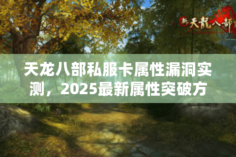 天龙八部私服卡属性漏洞实测，2025最新属性突破方案安全吗？