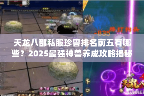 天龙八部私服珍兽排名前五有哪些?2025最强神兽养成攻略揭秘 天龙八部私服珍兽排名前五有哪些?2025最强神兽养成攻略揭秘