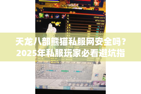 天龙八部熊猫私服网安全吗？2025年私服玩家必看避坑指南