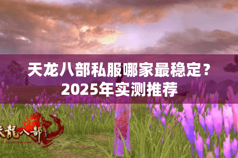 天龙八部私服哪家最稳定？2025年实测推荐