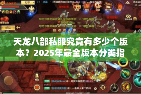 天龙八部私服究竟有多少个版本？2025年最全版本分类指南