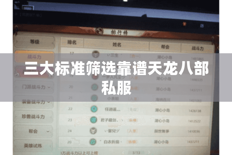 三大标准筛选靠谱天龙八部私服
