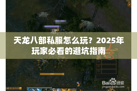 天龙八部私服怎么玩？2025年玩家必看的避坑指南