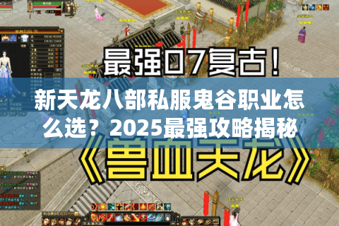 新天龙八部私服鬼谷职业怎么选？2025最强攻略揭秘
