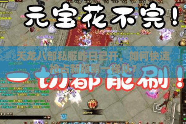 天龙八部私服昨日已开,如何快速抢占新服第一梯队? 天龙八部私服昨日已开,如何快速抢占新服第一梯队?
