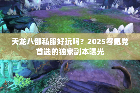 天龙八部私服好玩吗？2025零氪党首选的独家副本曝光