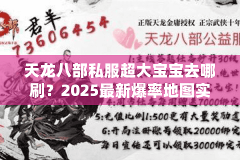 天龙八部私服超大宝宝去哪刷？2025最新爆率地图实测
