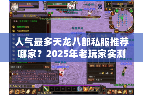 人气最多天龙八部私服推荐哪家？2025年老玩家实测榜单