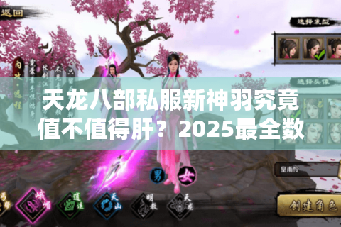 天龙八部私服新神羽究竟值不值得肝？2025最全数值解析与平民逆袭攻略