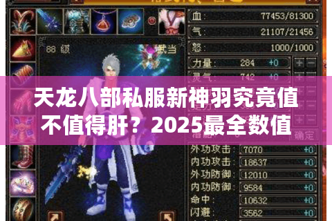 天龙八部私服新神羽究竟值不值得肝？2025最全数值解析与平民逆袭攻略