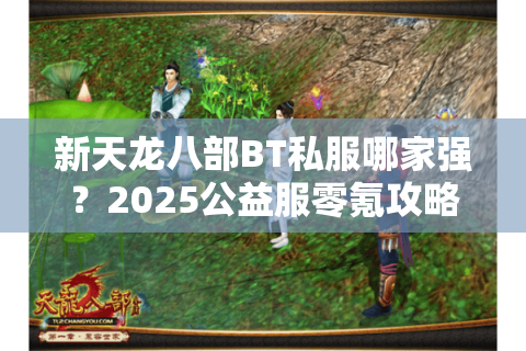 新天龙八部BT私服哪家强？2025公益服零氪攻略大揭秘