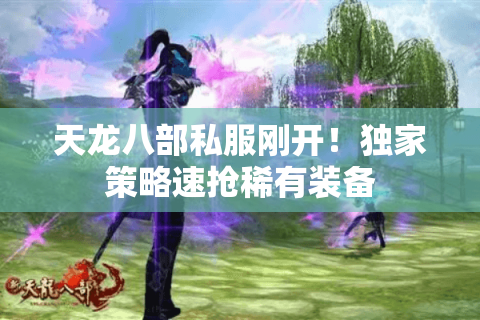 天龙八部私服刚开！独家策略速抢稀有装备