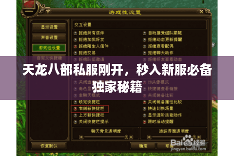 天龙八部私服刚开，秒入新服必备独家秘籍