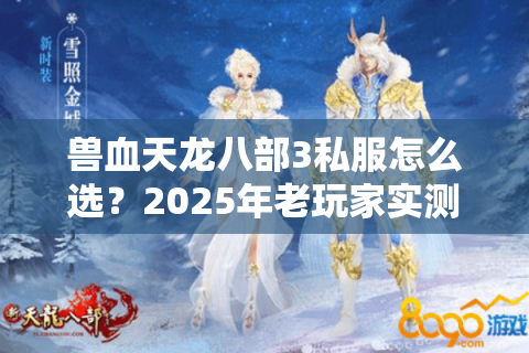 兽血天龙八部3私服怎么选？2025年老玩家实测避坑指南