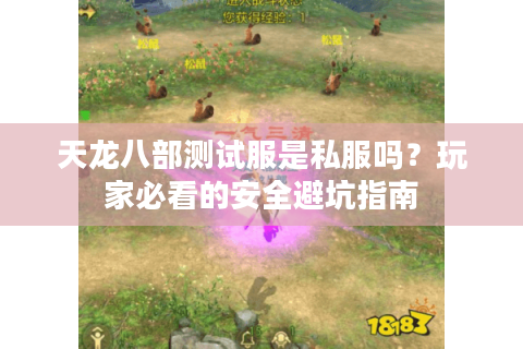 天龙八部测试服是私服吗？玩家必看的安全避坑指南