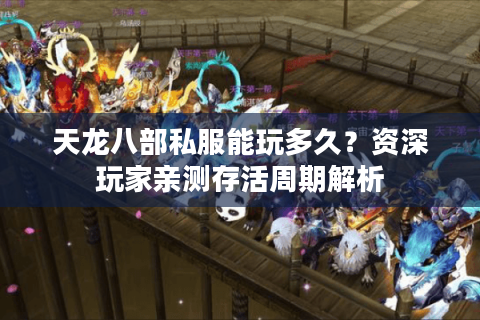 天龙八部私服能玩多久？资深玩家亲测存活周期解析