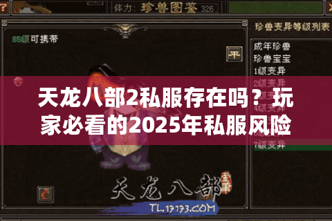 天龙八部2私服存在吗？玩家必看的2025年私服风险指南