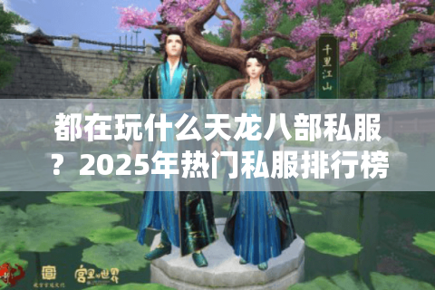 都在玩什么天龙八部私服？2025年热门私服排行榜大揭秘