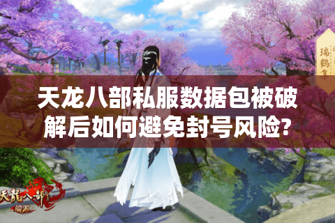 天龙八部私服数据包被破解后如何避免封号风险?2025年防检测技术实测