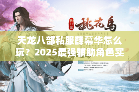 天龙八部私服薛幕华怎么玩?2025最强辅助角色实战解析 天龙八部私服薛幕华怎么玩?2025最强辅助角色实战解析