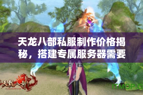 天龙八部私服制作价格揭秘,搭建专属服务器需要多少预算? 天龙八部私服制作价格揭秘,搭建专属服务器需要多少预算?