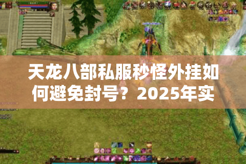 天龙八部私服秒怪外挂如何避免封号？2025年实测防封方案解析