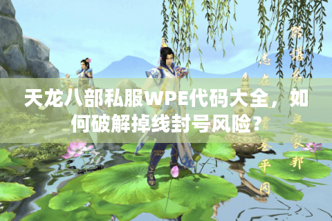 天龙八部私服WPE代码大全，如何破解掉线封号风险？