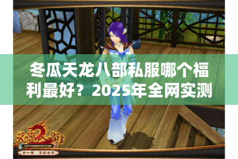 冬瓜天龙八部私服哪个福利最好？2025年全网实测排行榜