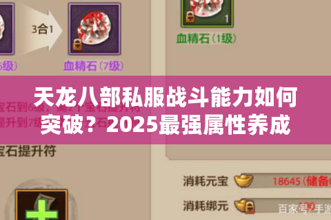 天龙八部私服战斗能力如何突破？2025最强属性养成指南