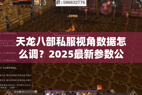 天龙八部私服视角数据怎么调？2025最新参数公式实测