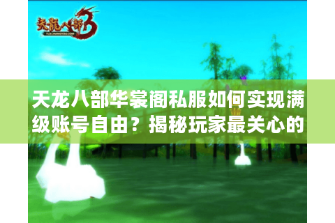 天龙八部华裳阁私服如何实现满级账号自由?揭秘玩家最关心的三大机制 天龙八部华裳阁私服如何实现满级账号自由?揭秘玩家最关心的三大机制
