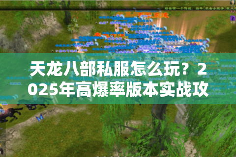 天龙八部私服怎么玩？2025年高爆率版本实战攻略