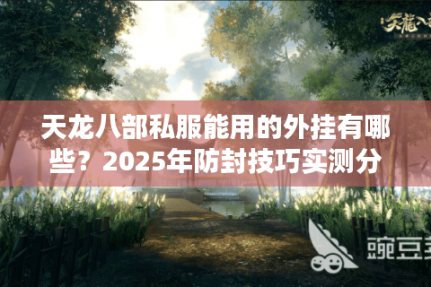 天龙八部私服能用的外挂有哪些？2025年防封技巧实测分析