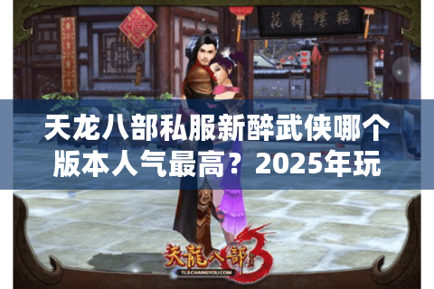 天龙八部私服新醉武侠哪个版本人气最高？2025年玩家实测推荐