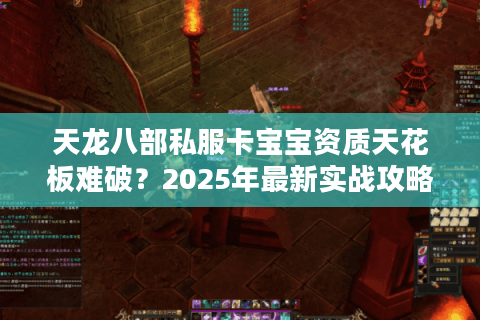 天龙八部私服卡宝宝资质天花板难破？2025年最新实战攻略揭秘