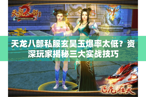 天龙八部私服玄昊玉爆率太低？资深玩家揭秘三大实战技巧