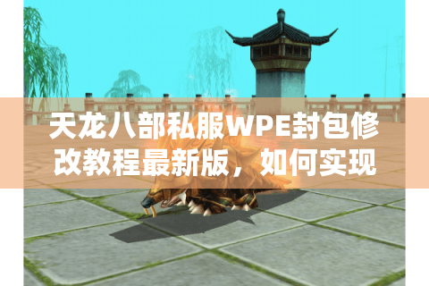 天龙八部私服WPE封包修改教程最新版，如何实现经验值秒升不封号？