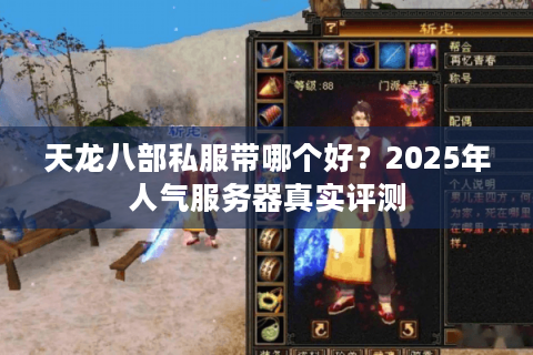 天龙八部私服带哪个好？2025年人气服务器真实评测