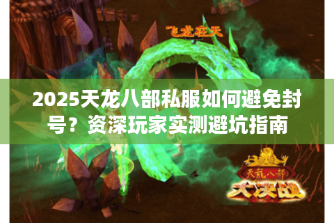 2025天龙八部私服如何避免封号？资深玩家实测避坑指南