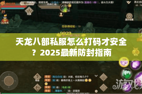 天龙八部私服怎么打码才安全？2025最新防封指南