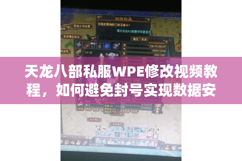 天龙八部私服WPE修改视频教程，如何避免封号实现数据安全？