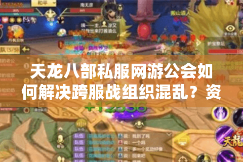 天龙八部私服网游公会如何解决跨服战组织混乱？资深会长分享实战手册