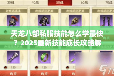 天龙八部私服技能怎么学最快？2025最新技能成长攻略解析