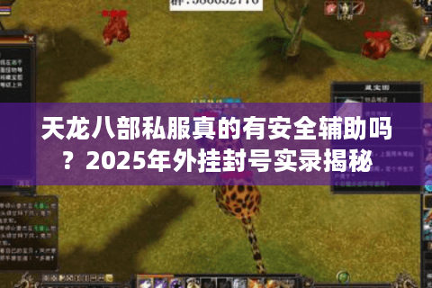 天龙八部私服真的有安全辅助吗？2025年外挂封号实录揭秘