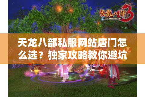 天龙八部私服网站唐门怎么选？独家攻略教你避坑与快速升级