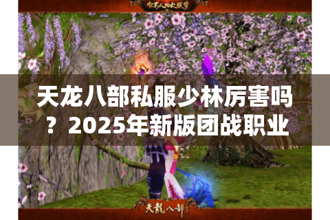 天龙八部私服少林厉害吗？2025年新版团战职业强度实测分析