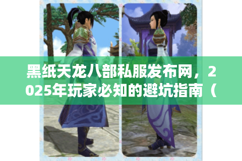黑纸天龙八部私服发布网，2025年玩家必知的避坑指南（附最新入口）
