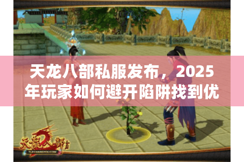 天龙八部私服发布，2025年玩家如何避开陷阱找到优质怀旧服？