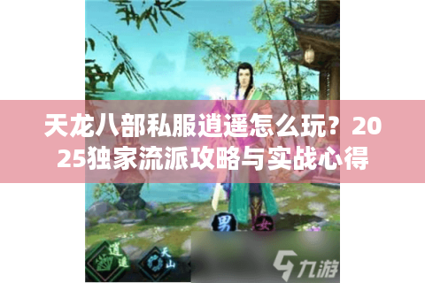 天龙八部私服逍遥怎么玩？2025独家流派攻略与实战心得